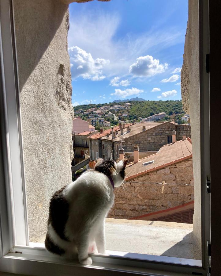 T3 Avec Vue Sur La Mer Notre Chez-Nous Apartamento Propriano  Exterior foto